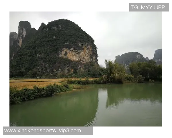 《绿茵传奇:一位足球天才从街头到世界杯的奋斗历程》 《绿茵传奇:一位足球天才从街头到世界杯的奋斗历程》