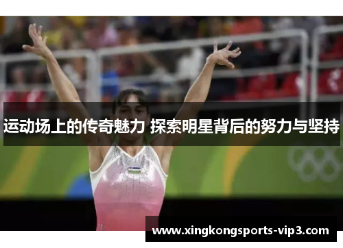 运动场上的传奇魅力 探索明星背后的努力与坚持